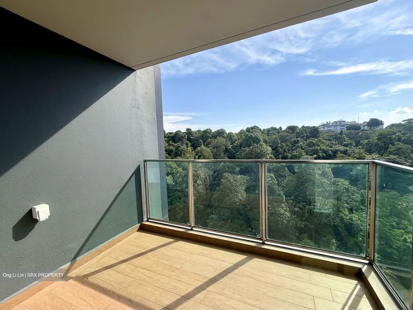 Normanton Park (D5), Apartment #603847461